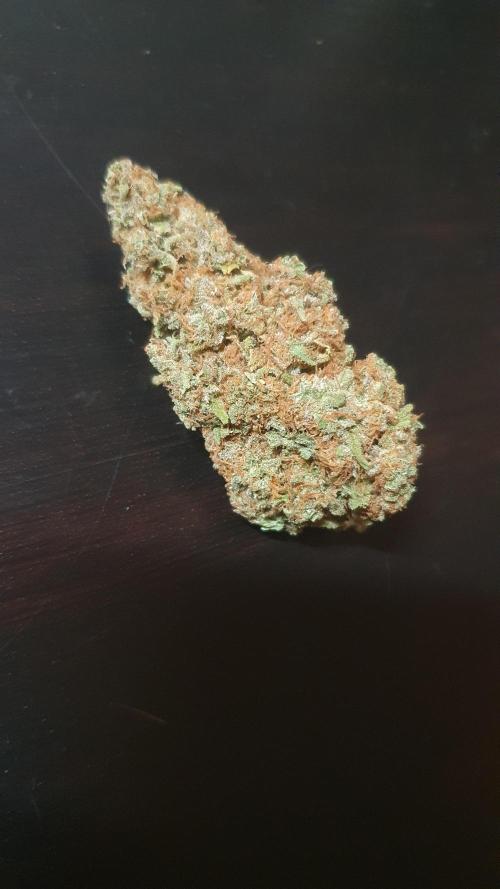 Super Boof Zamnesia. Week 14