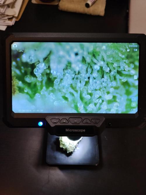 Milkyway F1 Auto RQS. Week 11