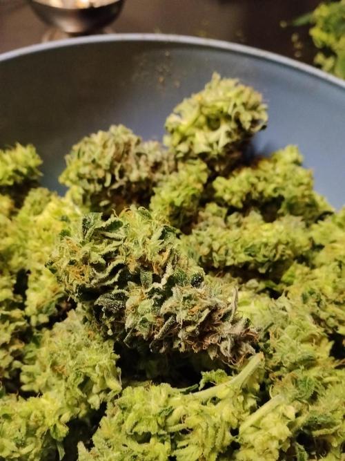 Milkyway F1 Auto RQS. Week 11