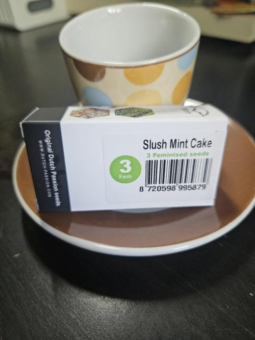 Slush Mint Cake Dutch Passion. Week 0