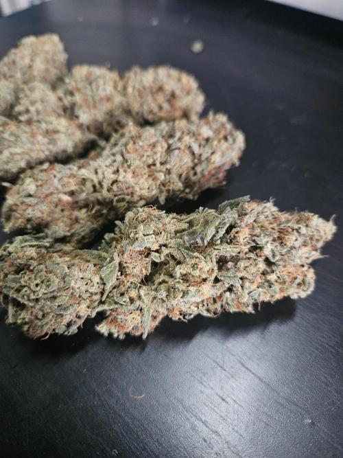 Blue Zushi Dutch Passion. Week 17