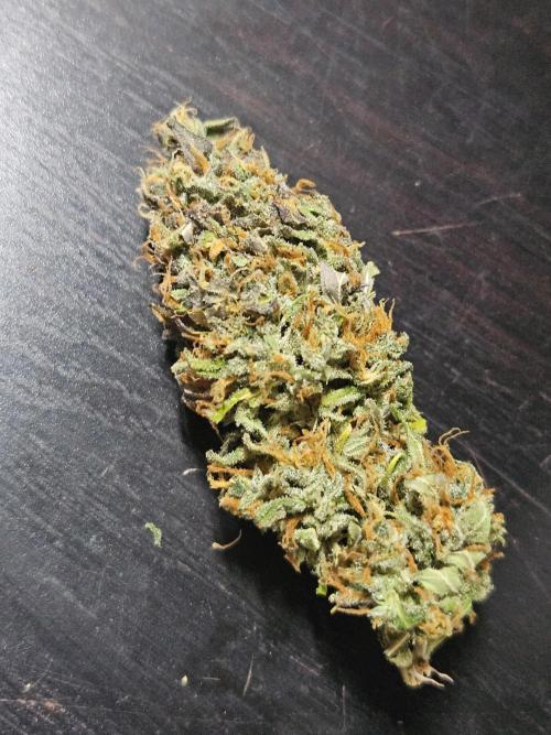 Zoapaya Auto Orginalsensibleseeds. Week 10