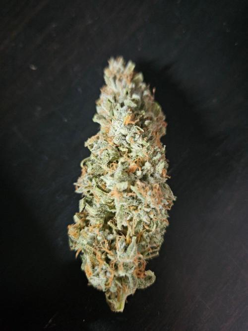 FumePop Auto Orginalsensibleseeds. Week 10