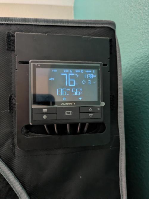 Blueberry Muffin . Week 10