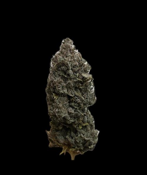 Skunk #1 - Sensi Seeds. Week 18