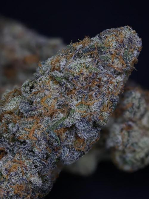 Blue Mystic by RQS. Week 15