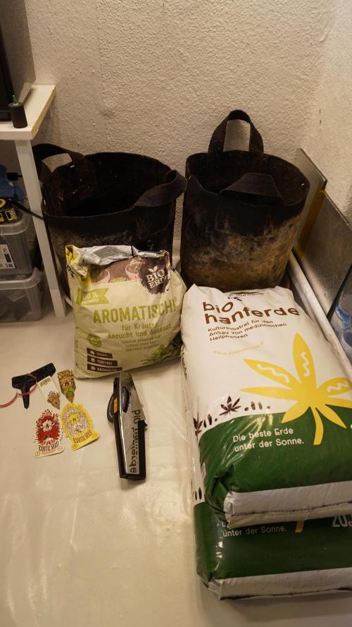 Russian Automatic X Sonnenerde. Week 0