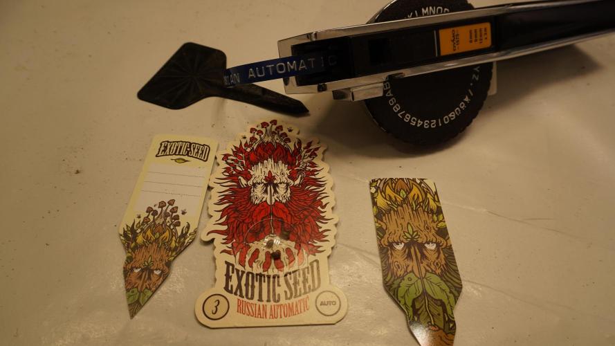 Russian Automatic X Sonnenerde. Week 0