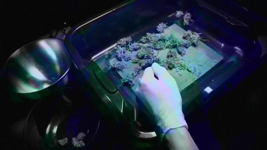 Violet Face Auto