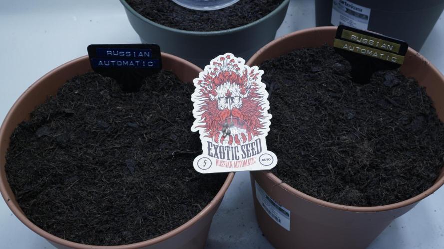 The Great Outdoor Potpourri 2026. Week 0