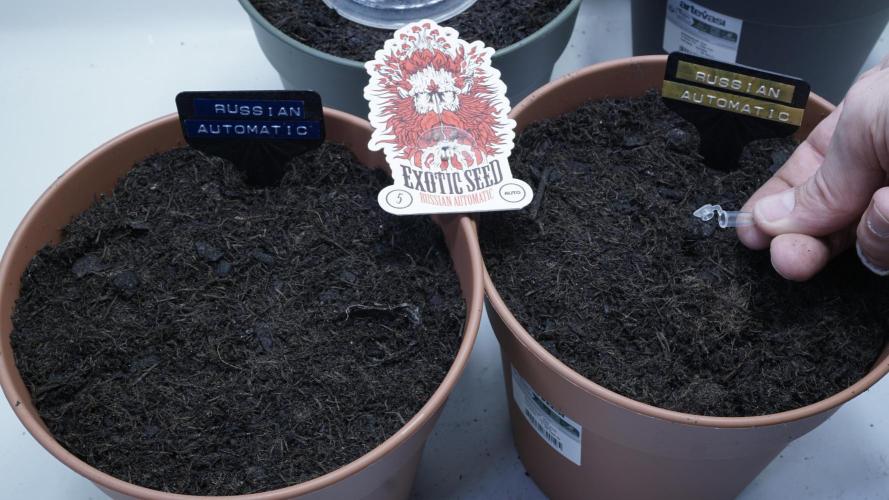 The Great Outdoor Potpourri 2026. Week 0