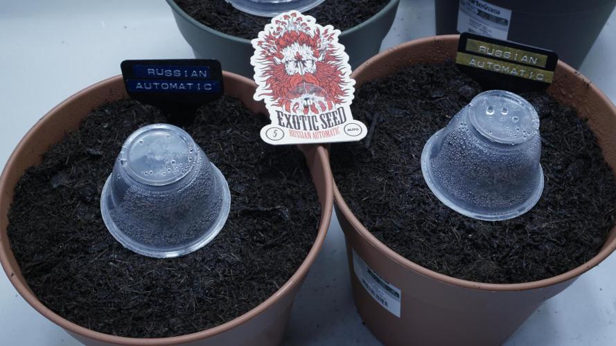 The Great Outdoor Potpourri 2026. Week 0