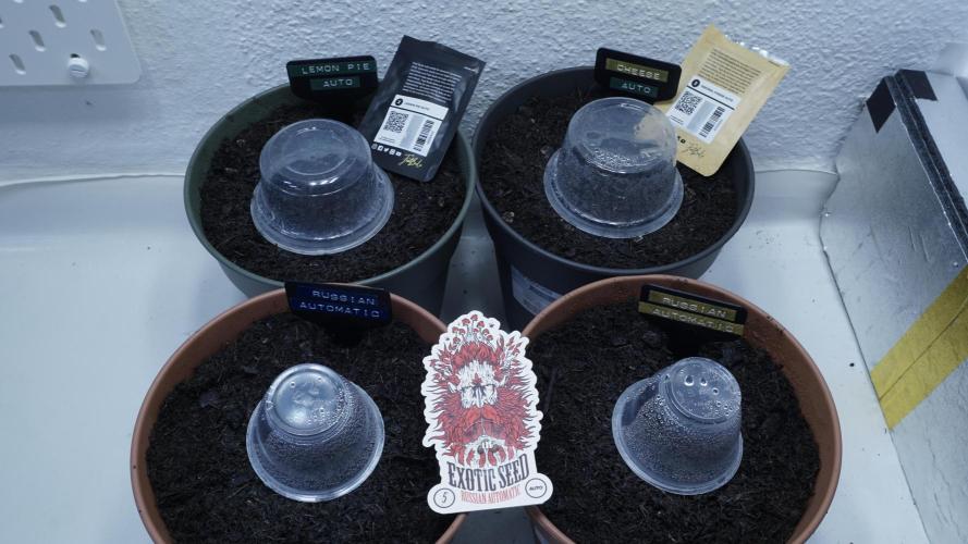 The Great Outdoor Potpourri 2026. Week 0