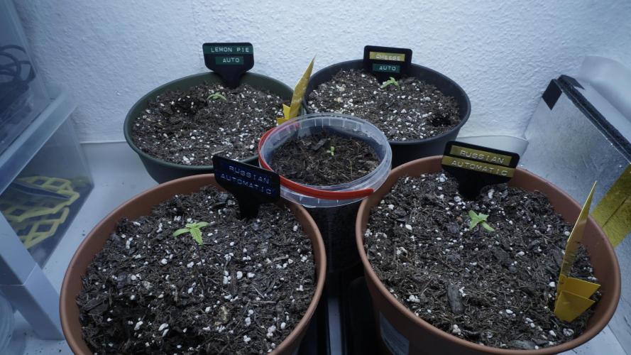 Outdoor Potpourri 2026 - Take 2. Week 1