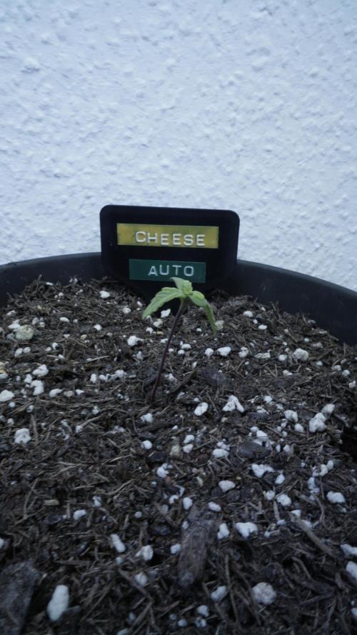 Outdoor Potpourri 2026 - Take 2. Week 1