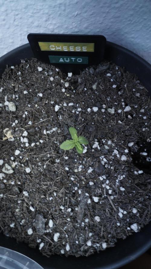 Outdoor Potpourri 2026 - Take 2. Week 1