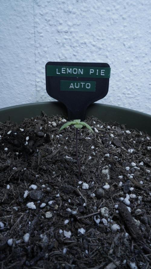 Outdoor Potpourri 2026 - Take 2. Week 1