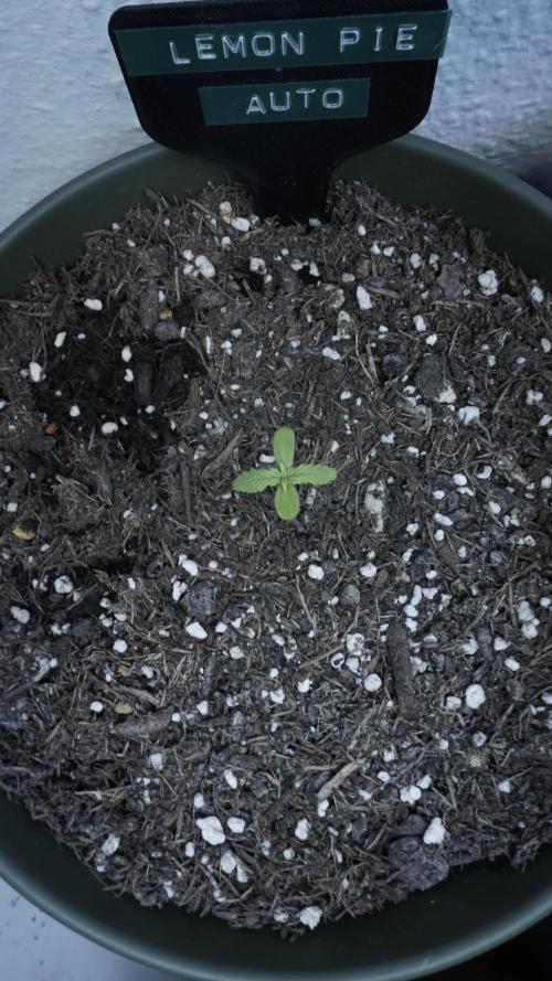 Outdoor Potpourri 2026 - Take 2. Week 1