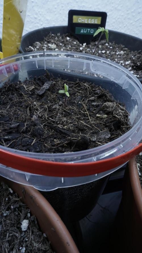 Outdoor Potpourri 2026 - Take 2. Week 1
