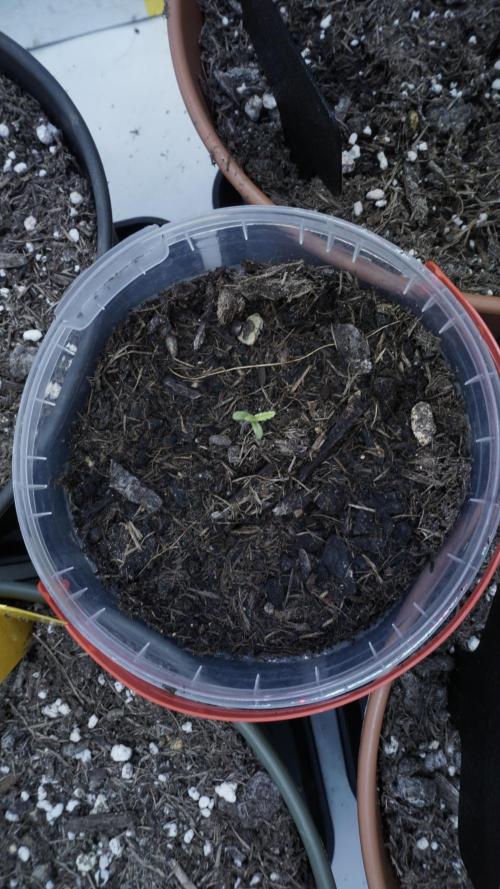 Outdoor Potpourri 2026 - Take 2. Week 1
