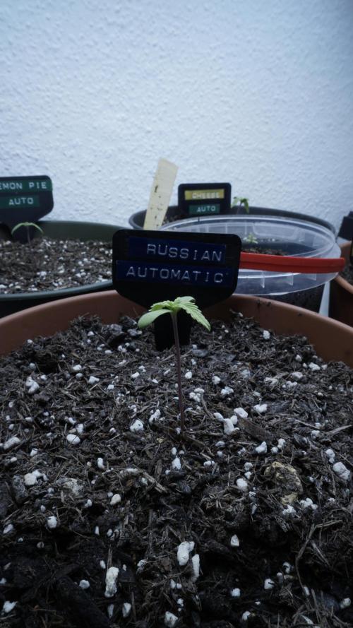Outdoor Potpourri 2026 - Take 2. Week 1