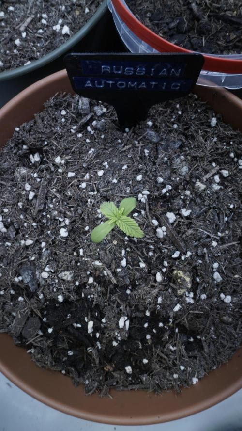 Outdoor Potpourri 2026 - Take 2. Week 1