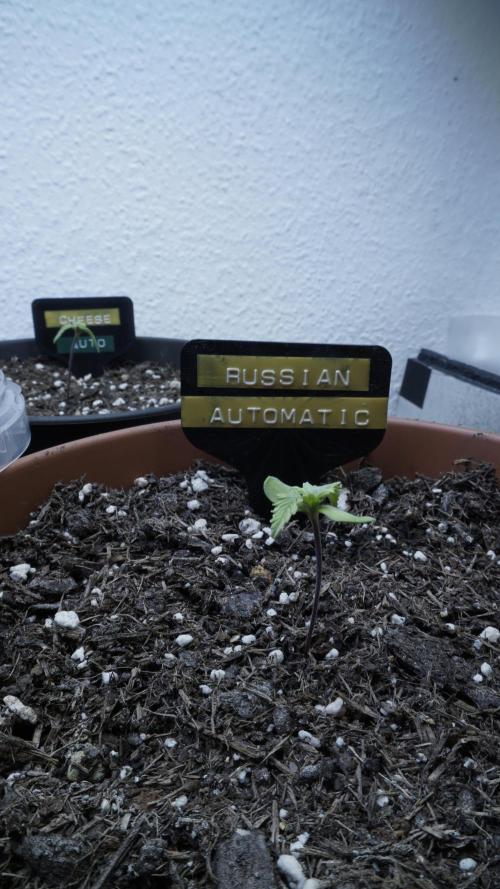 Outdoor Potpourri 2026 - Take 2. Week 1