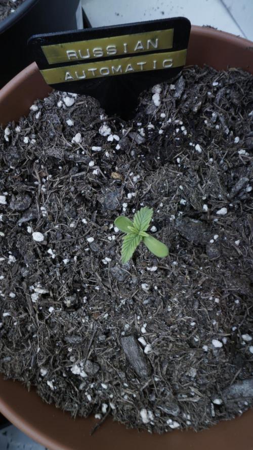 Outdoor Potpourri 2026 - Take 2. Week 1