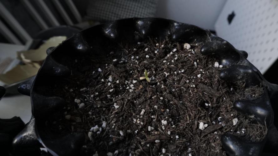 Outdoor Potpourri 2026 - Take 2. Week 3
