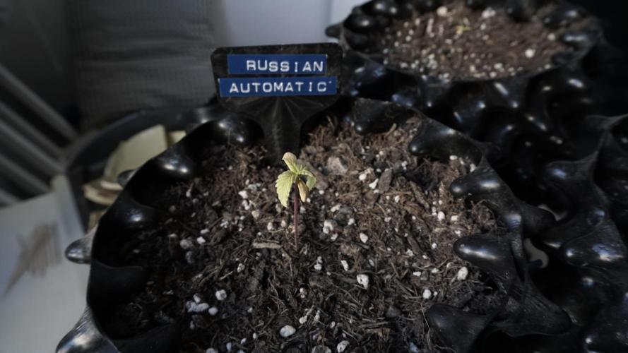 Outdoor Potpourri 2026 - Take 2. Week 3