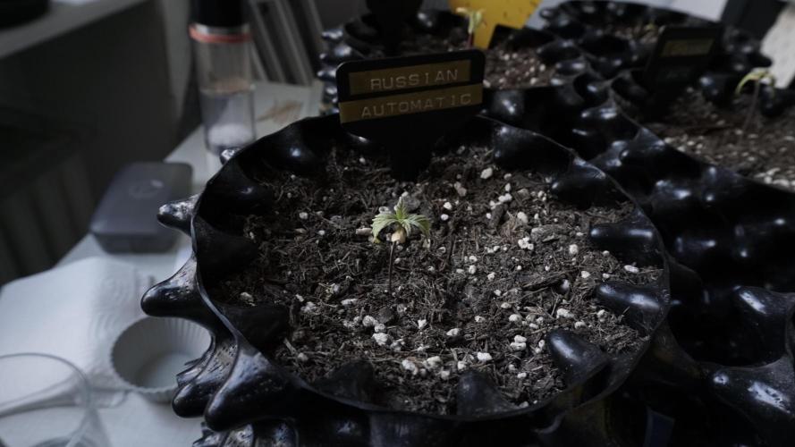 Outdoor Potpourri 2026 - Take 2. Week 3