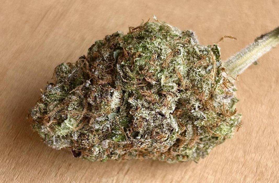 Purple Berry Muffinz - Indoor. Week 17 - I don’t have a good camera to capture it’s looks right now. But they’re dense