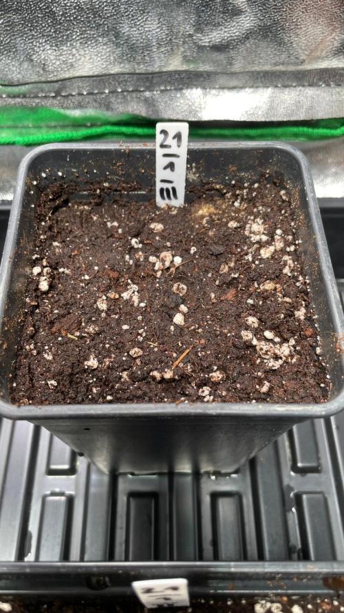 GMSDSP. Week 1 - Day 2 #3