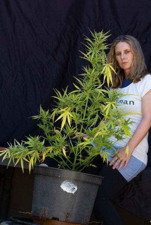 Guava Auto run. Week 8