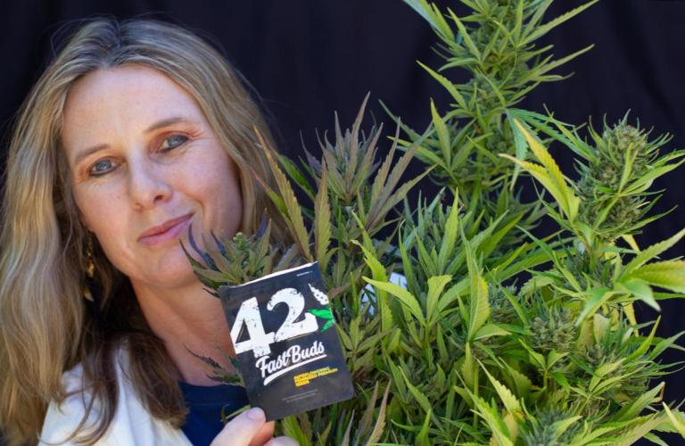 Guava Auto run. Week 8