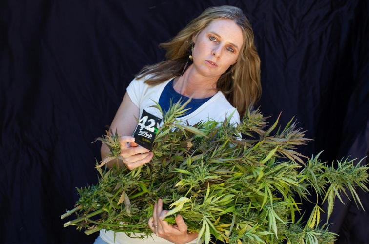 Guava Auto run. Week 8