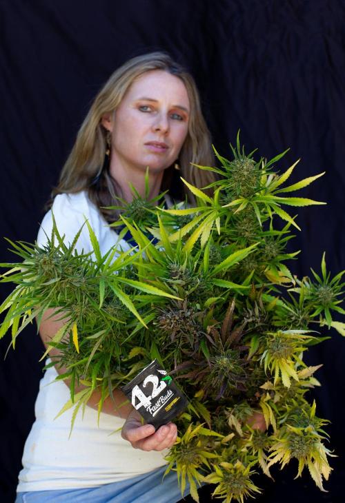 Guava Auto run. Week 8