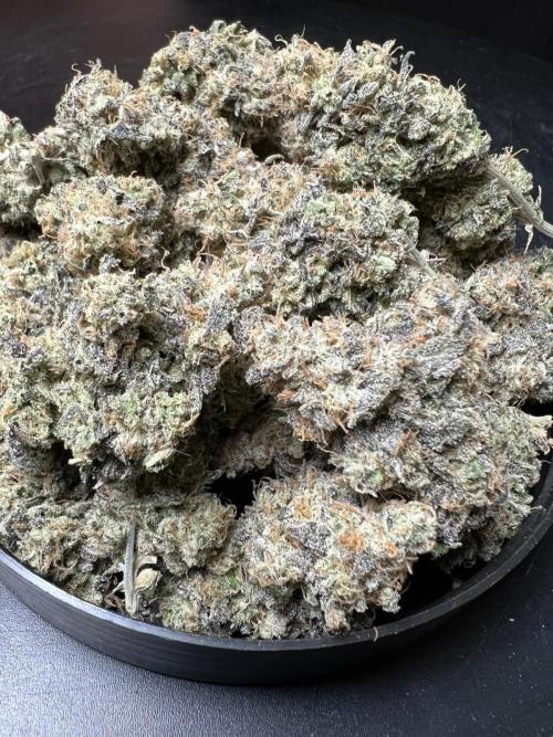 Dutch Passion / 2 Plants 1,56m2. Week 34