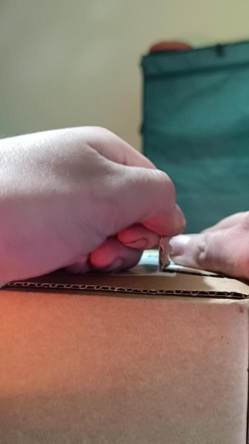 Runtz Automatic@Eternity Grow Cup 2025