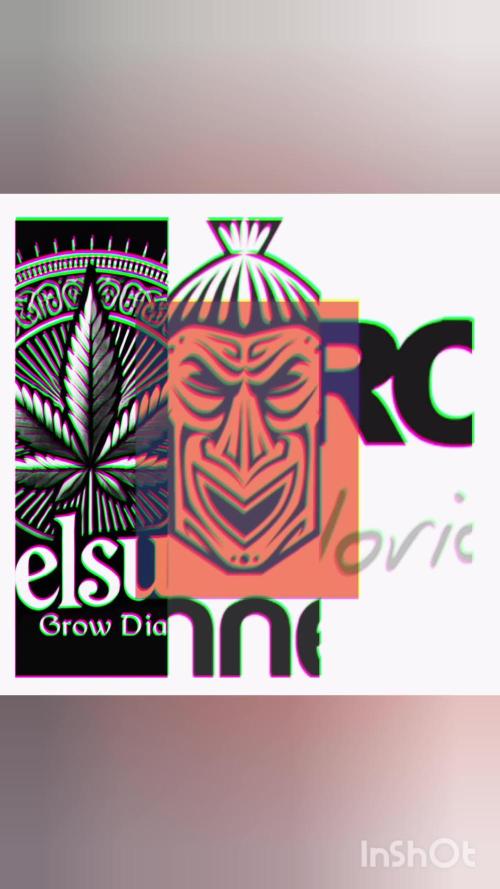 Runtz Automatic@Eternity Grow Cup 2025