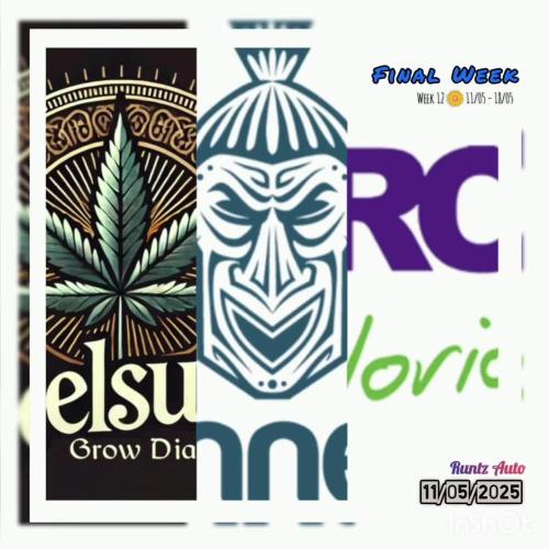 Runtz Automatic@Eternity Grow Cup 2025