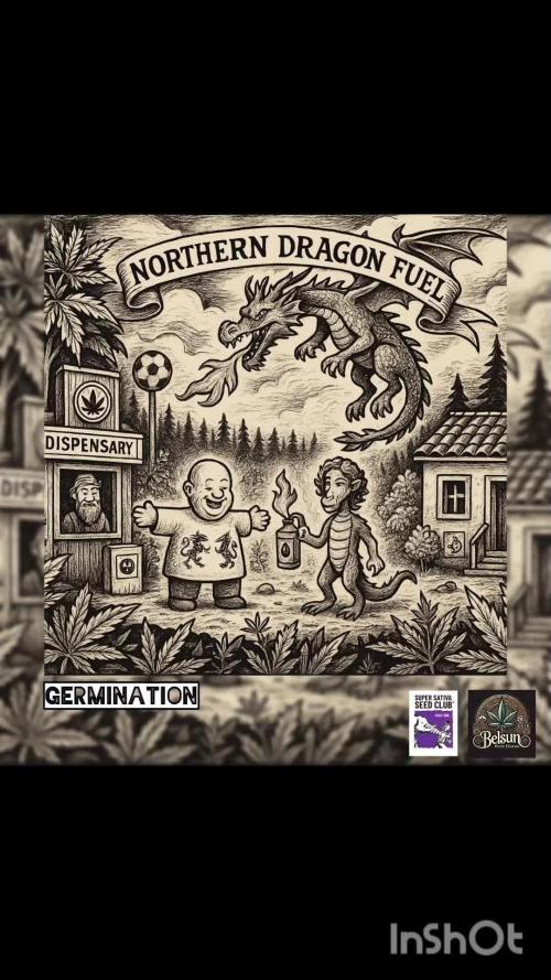 Northern dragon fuel Auto@SSSC