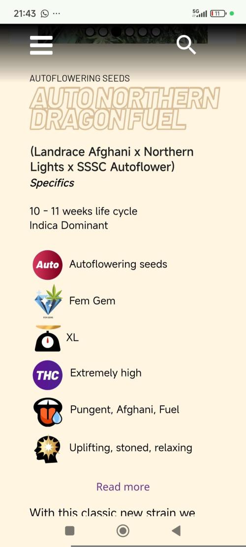 Northern dragon fuel Auto@SSSC. Week 0