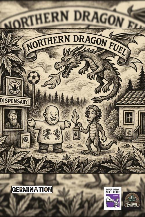 Northern dragon fuel Auto@SSSC. Week 0