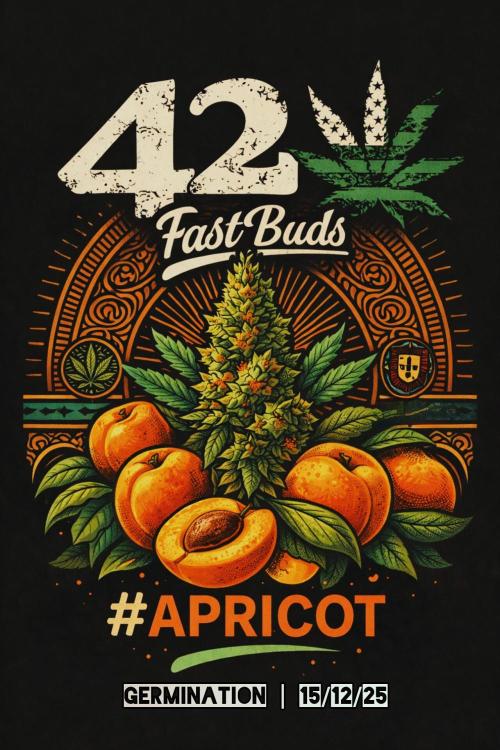 Apricot Auto@FastBuds. Week 0