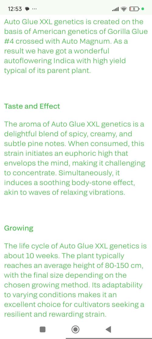 Glue XXL Auto@IZI. Week 0