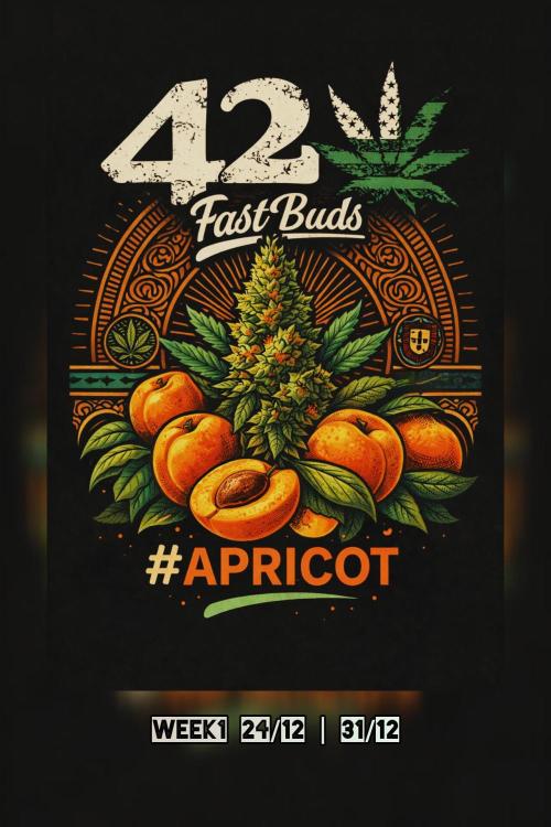 Apricot Auto@FastBuds. Week 1