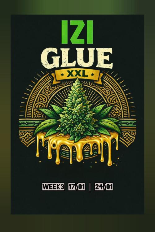 Glue XXL Auto@IZI. Week 3