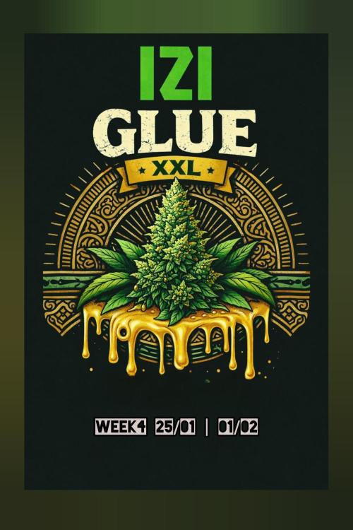 Glue XXL Auto@IZI. Week 4