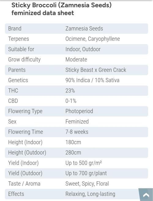Sticky Broccoli@Zamnesia | Plagron. Week 0